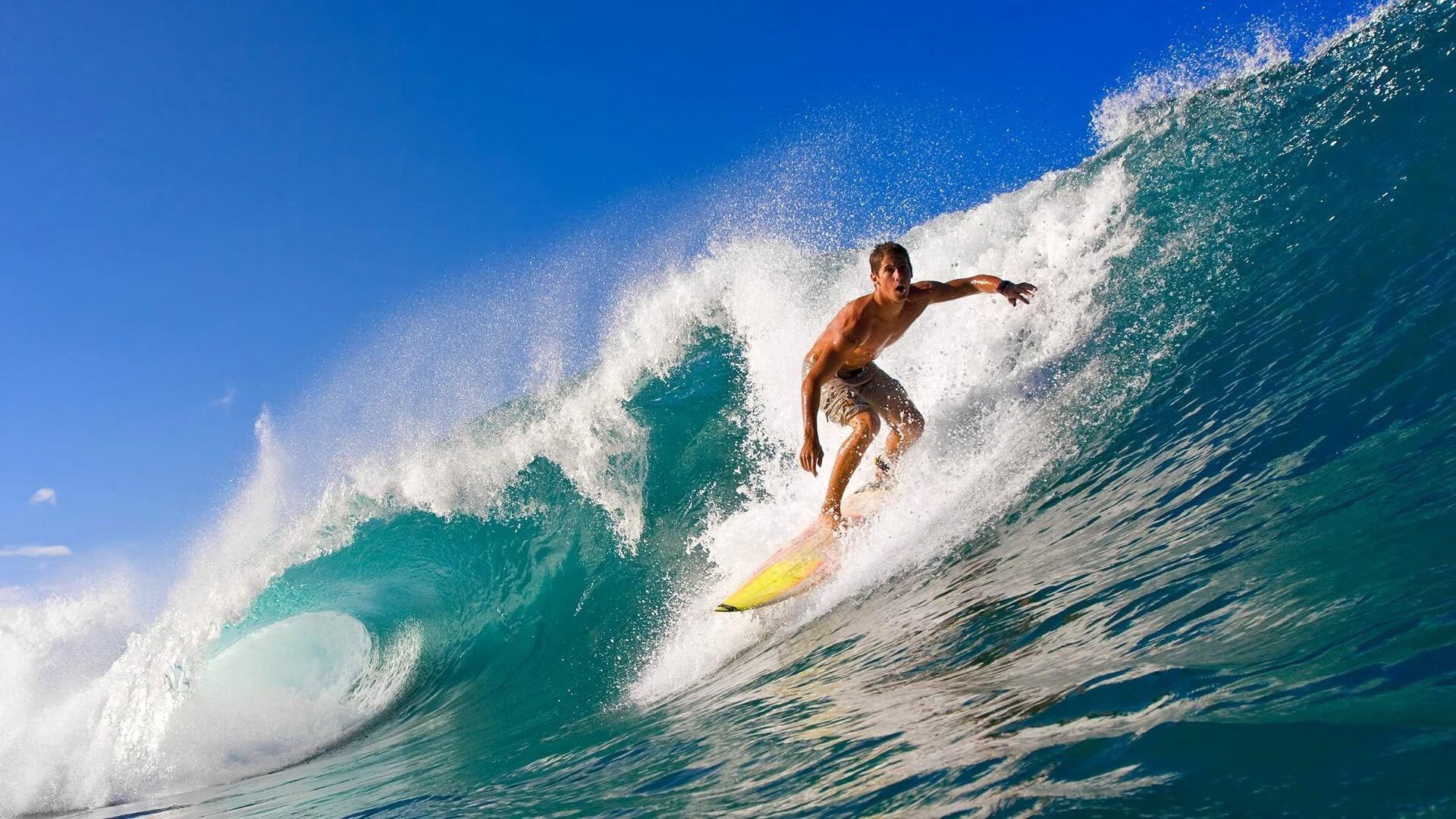 从蓝领到支柱,小温德尔-卡特的蜕变之路